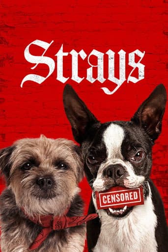 Poster film Strays (2023) Subtitle Indonesia - REBAHIN