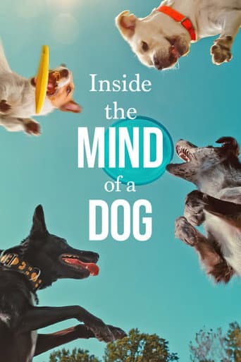 Poster film Inside the Mind of a Dog (2024) Subtitle Indonesia - REBAHIN