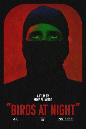 Poster film Birds at Night (2024) Subtitle Indonesia - REBAHIN