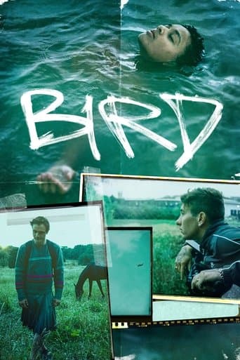 Poster film Bird (2024) Subtitle Indonesia - REBAHIN
